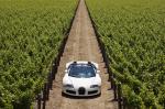 Bugatti Veyron 16.4 Grand Sport 2009 года